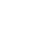 Hydrolyzed Rice Protein